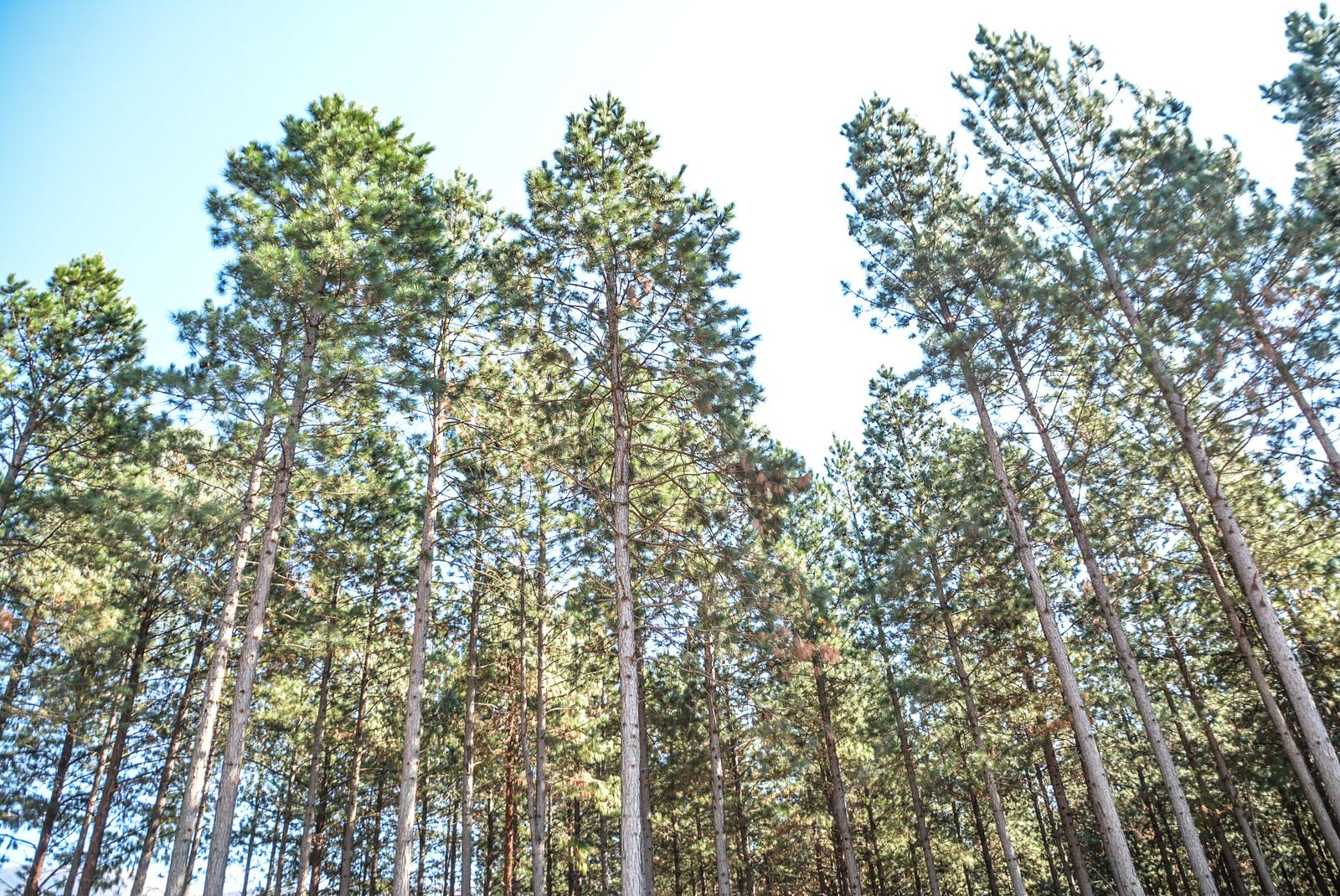 Map placeholder - SAFCOL office locations