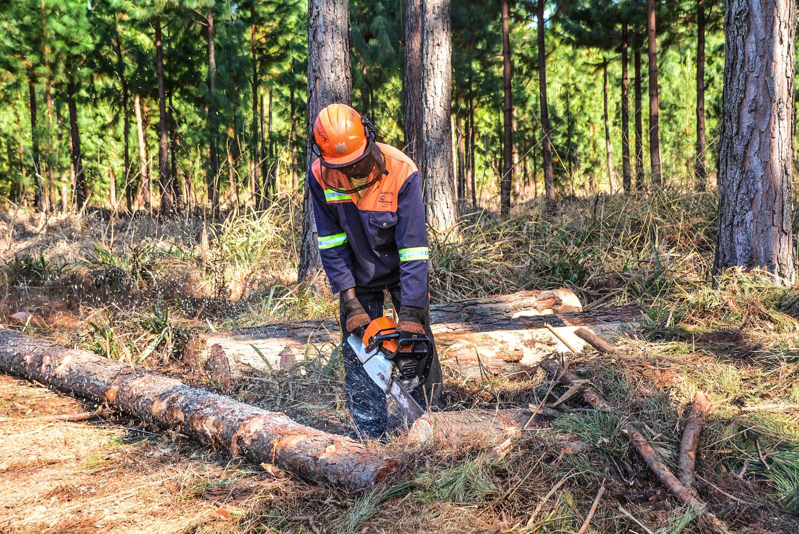 Forestry operations