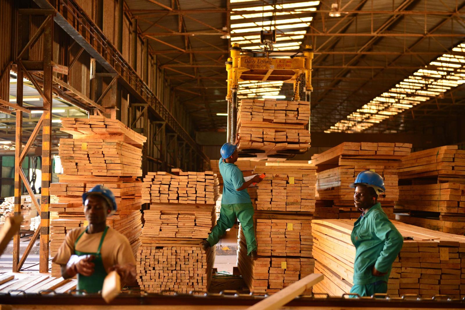 SAFCOL Nelspruit Operational Office, Mbombela