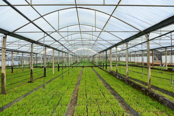 Ecotourism destination