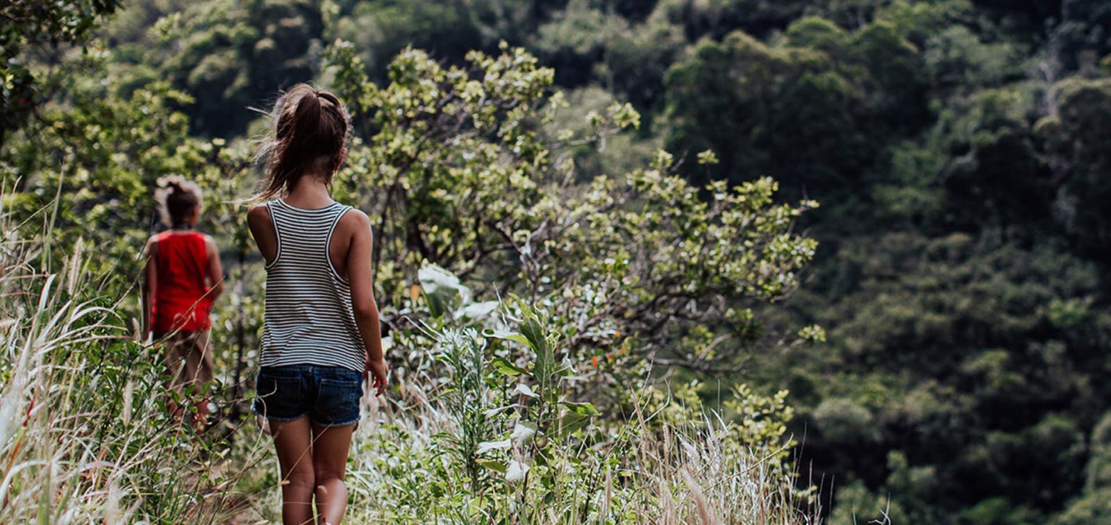 Hiking trail through SAFCOL forest